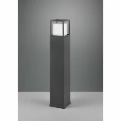 Borne lumineuse Trio Witham LED Anthracite, 1 lumière