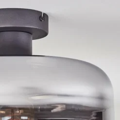 Boza Plafonnier Chrome, Clair, Fumé, 1 lumière