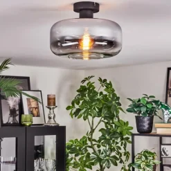 Boza Plafonnier Chrome, Clair, Fumé, 1 lumière