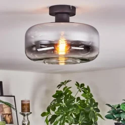 Boza Plafonnier Chrome, Clair, Fumé, 1 lumière