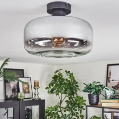 Boza Plafonnier Chrome, Clair, Fumé, 1 lumière