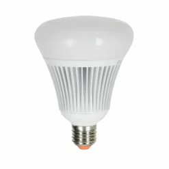 Candal E27 LED RGB 16 watt 2200-6500 Kelvin 806 lumen avec télécommande
