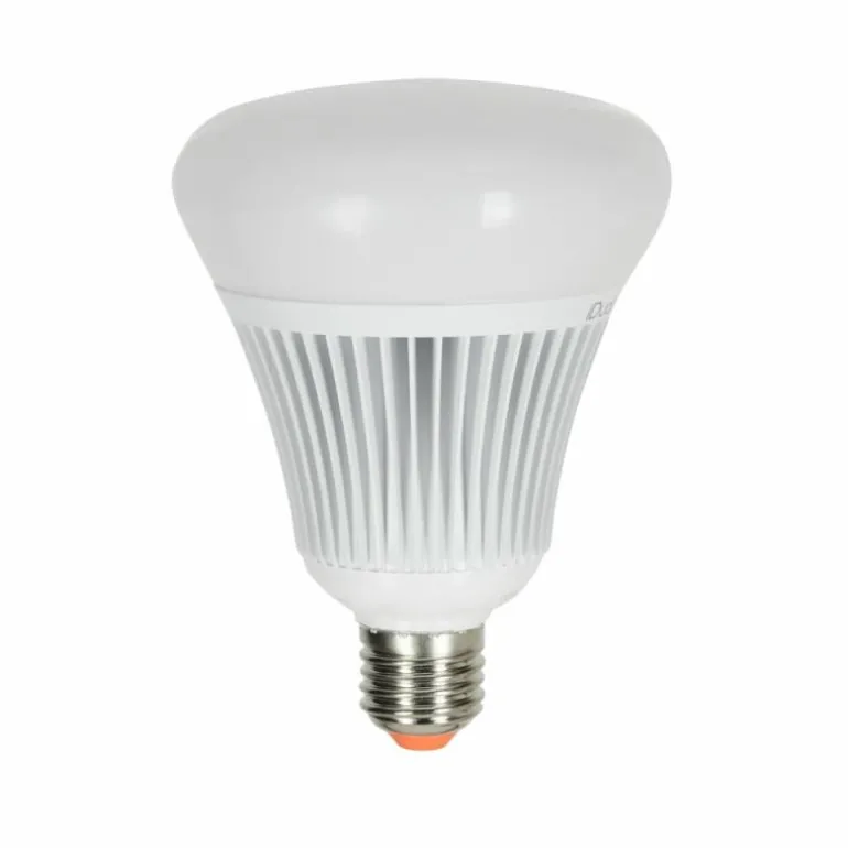Candal E27 LED RGB 16 watt 2200-6500 Kelvin 806 lumen avec télécommande