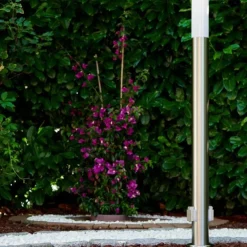 Caserta Lampadaire, Eclairage de chemin Acier inoxydable, 1 lumière