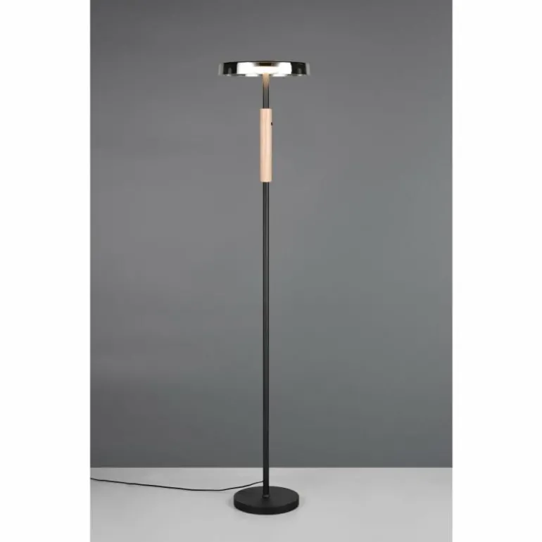 Celeste Lampadaire Luminaires Trio LED Noir, 1 lumière