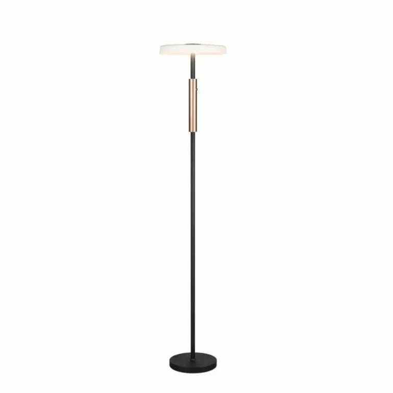 Celeste Lampadaire Luminaires Trio LED Noir, 1 lumière