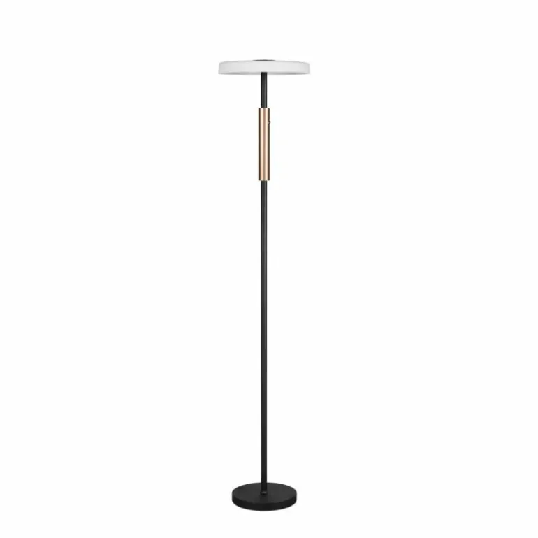 Celeste Lampadaire Luminaires Trio LED Noir, 1 lumière