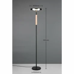 Celeste Lampadaire Luminaires Trio LED Noir, 1 lumière