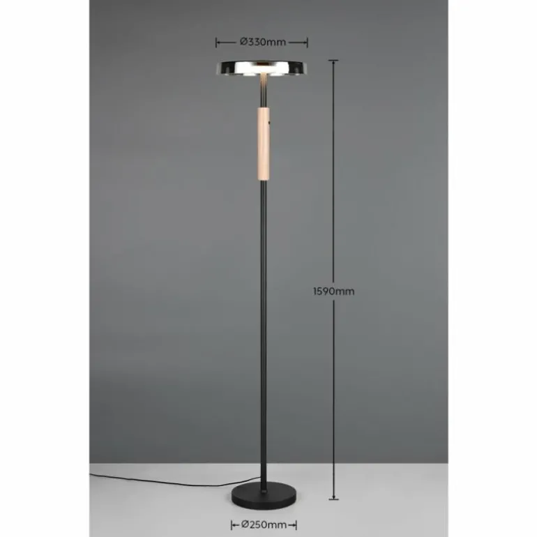 Celeste Lampadaire Luminaires Trio LED Noir, 1 lumière