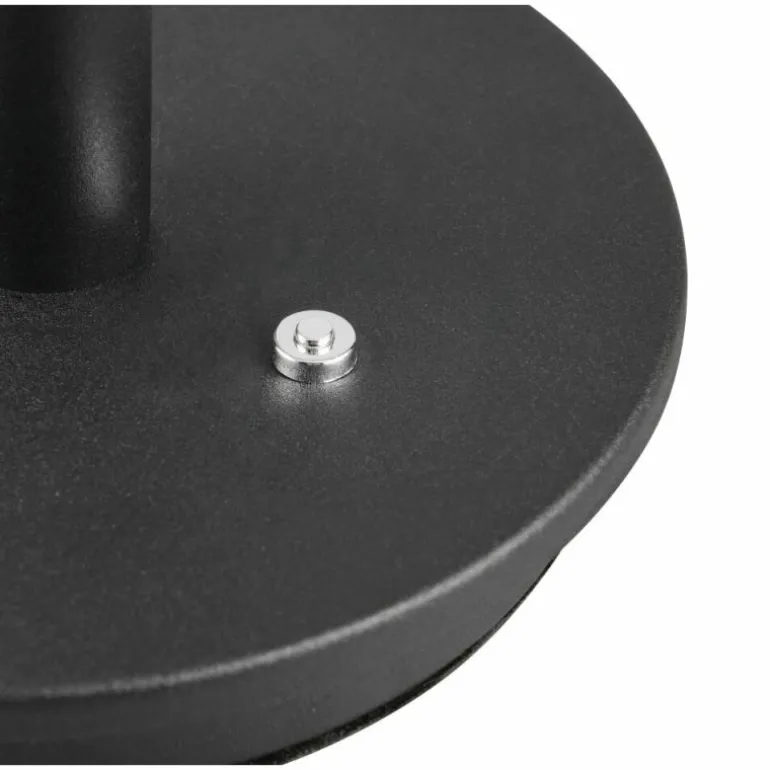 Celeste Lampe à poser Luminaires Trio LED Noir, 1 lumière