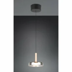 Celeste Suspension Luminaires Trio LED Noir, 1 lumière