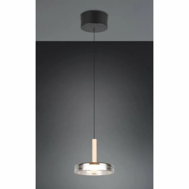 Celeste Suspension Luminaires Trio LED Noir, 1 lumière