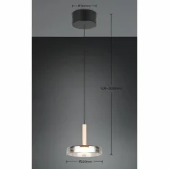 Celeste Suspension Luminaires Trio LED Noir, 1 lumière