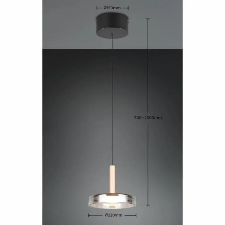 Celeste Suspension Luminaires Trio LED Noir, 1 lumière