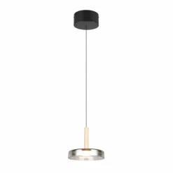 Celeste Suspension Luminaires Trio LED Noir, 1 lumière