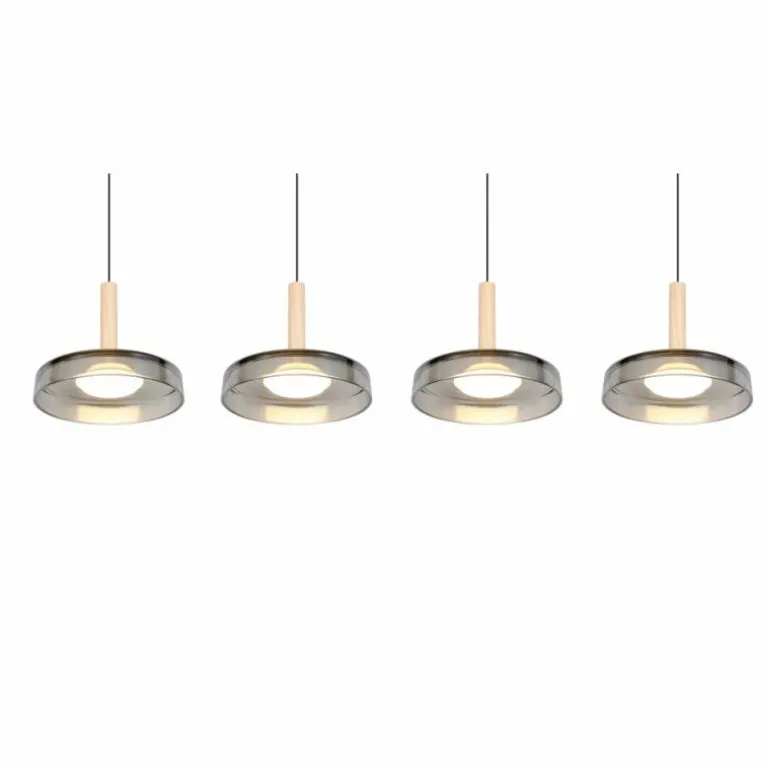 Celeste Suspension Luminaires Trio LED Noir, 1 lumière
