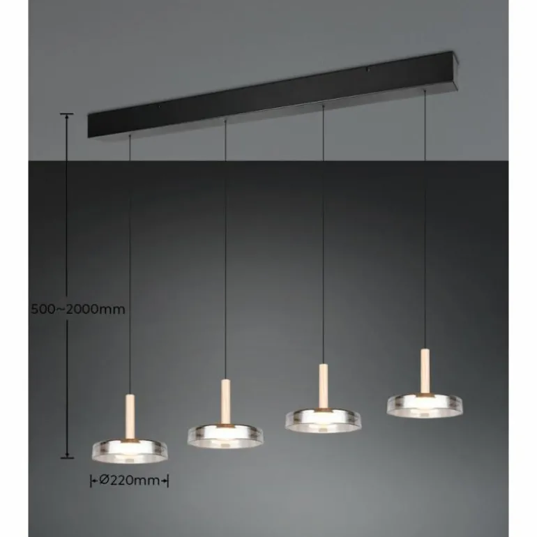 Celeste Suspension Luminaires Trio LED Noir, 1 lumière