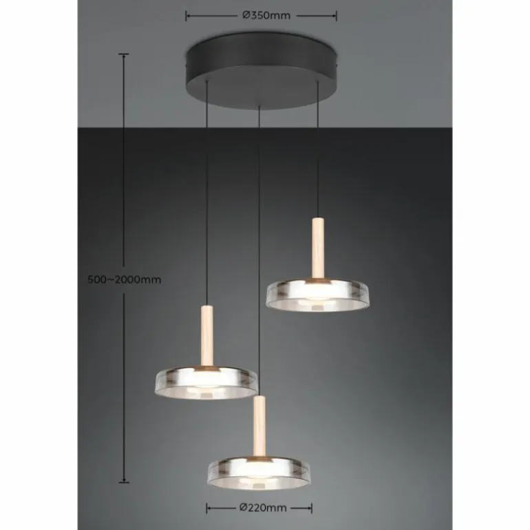Celeste Suspension Luminaires Trio LED Noir, 1 lumière