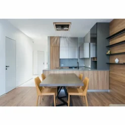 Celinata Ventilateur de plafond lumineux Luminaires Globo Lighting LED Noir, 1 lumière, Télécommandes