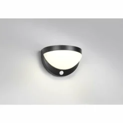 Cobre Applique murale Luminaires Reality LED Noir, 1 lumière, Détecteur de mouvement