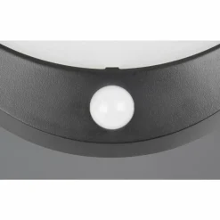 Cobre Applique murale Luminaires Reality LED Noir, 1 lumière, Détecteur de mouvement