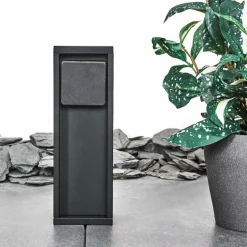 collonette des prises Papacal Noir