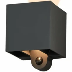 Endura Lampe murale d´extérieur Luminaires Ledvance LED Gris, 1 lumière