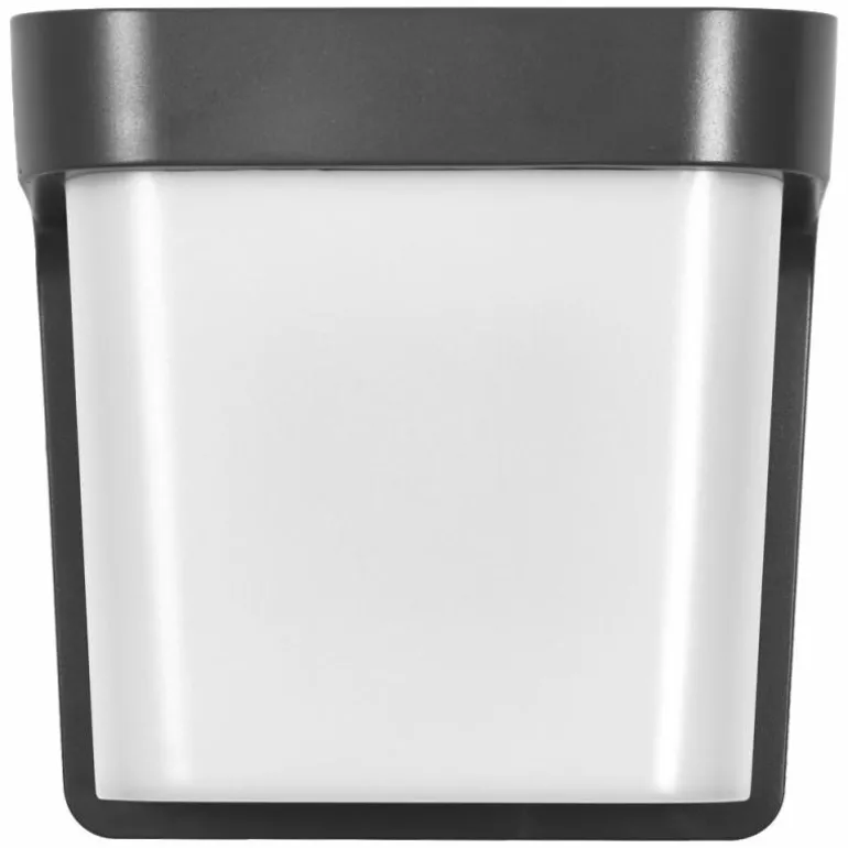 Endura Lampe murale d´extérieur Luminaires Ledvance LED Gris, 1 lumière