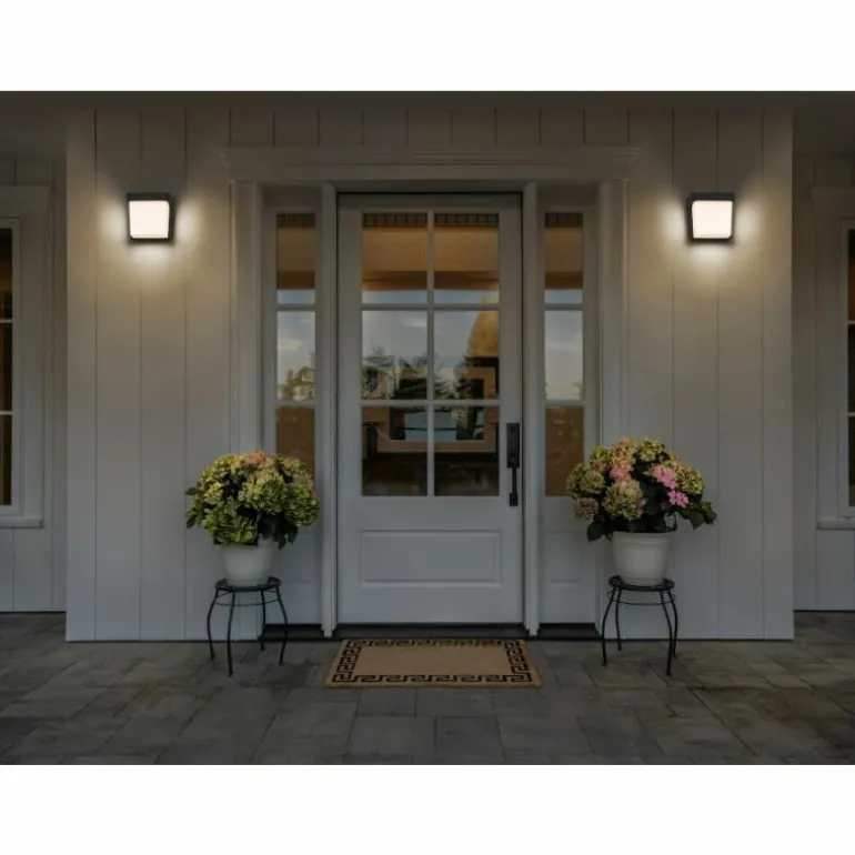 Endura Lampe murale d´extérieur Luminaires Ledvance LED Gris, 1 lumière