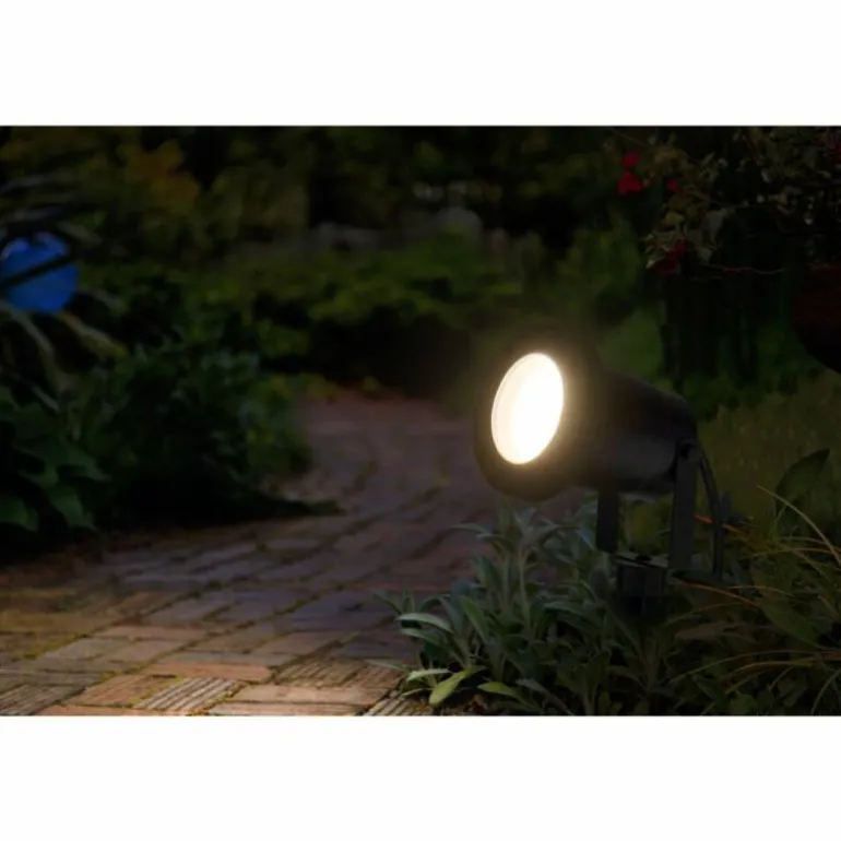 Endura Spot de jardin Luminaires Ledvance LED Noir, 1 lumière
