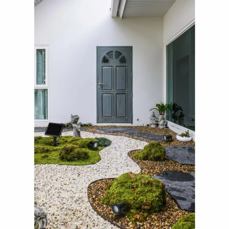 Endura Spot de jardin Luminaires Ledvance LED Noir, 1 lumière