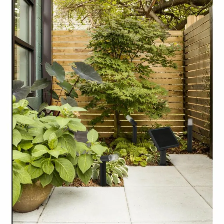 Endura Spot de jardin Luminaires Ledvance LED Noir, 1 lumière