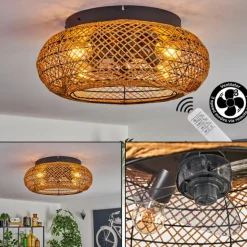 Fallhagen Plafonnier, Ventilateur de plafond lumineux Noir, 4 lumières, Télécommandes
