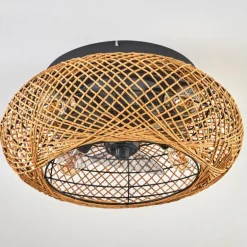 Fallhagen Plafonnier, Ventilateur de plafond lumineux Noir, 4 lumières, Télécommandes