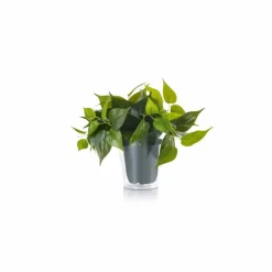 fleur Trio Plant LED Vert