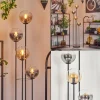 Gastor Lampadaire 30 cm Ambre, Clair, Fumé, 4 lumières