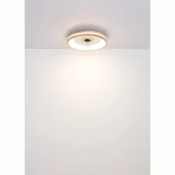 Gatian Ventilateur de plafond lumineux Luminaires Globo Lighting LED Brun foncé, Blanc, 1 lumière, Télécommandes