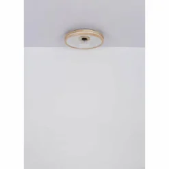 Gatian Ventilateur de plafond lumineux Luminaires Globo Lighting LED Brun foncé, Blanc, 1 lumière, Télécommandes