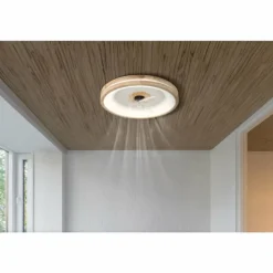 Gatian Ventilateur de plafond lumineux Luminaires Globo Lighting LED Brun foncé, Blanc, 1 lumière, Télécommandes