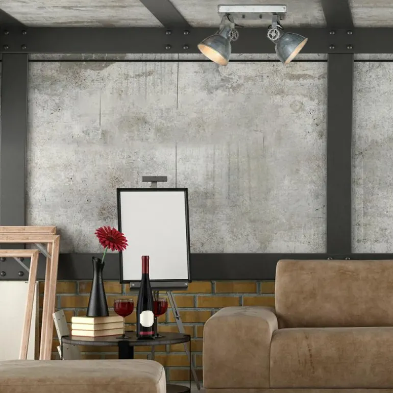 Gearmetal Plafonnier, Spot de plafond Luminaires Steinhauer Argent Oxydé, 2 lumières