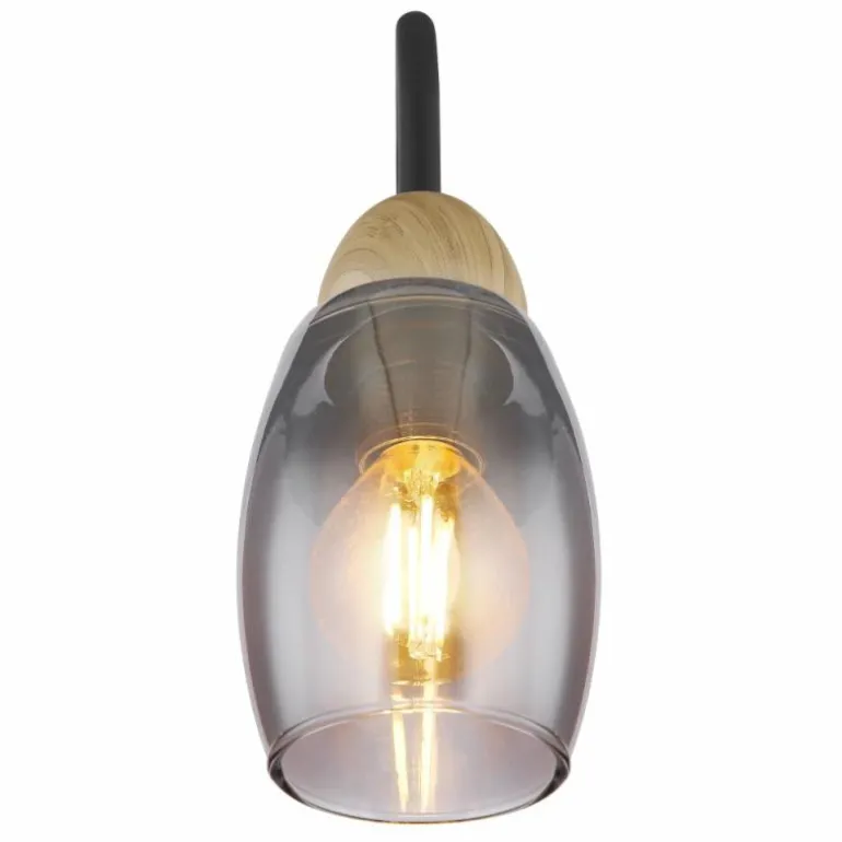 GERLY Applique murale Luminaires Globo Lighting Noir, 1 lumière