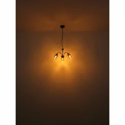 GERLY Applique murale Luminaires Globo Lighting Noir, 1 lumière