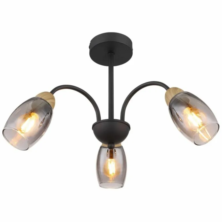 GERLY Plafonnier Luminaires Globo Lighting Noir, 3 lumières