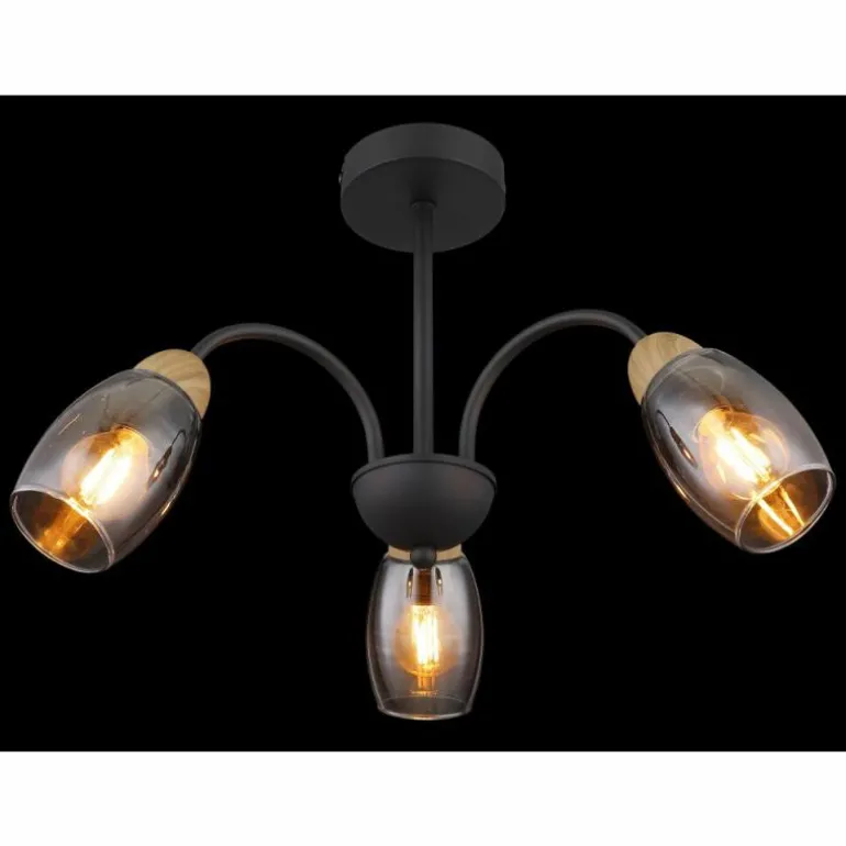 GERLY Plafonnier Luminaires Globo Lighting Noir, 3 lumières