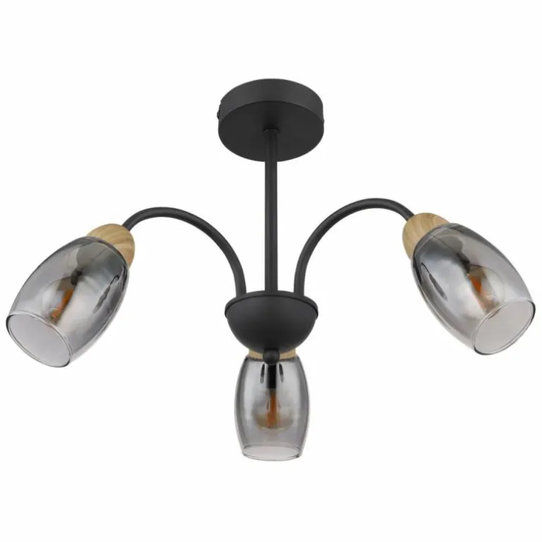 GERLY Plafonnier Luminaires Globo Lighting Noir, 3 lumières