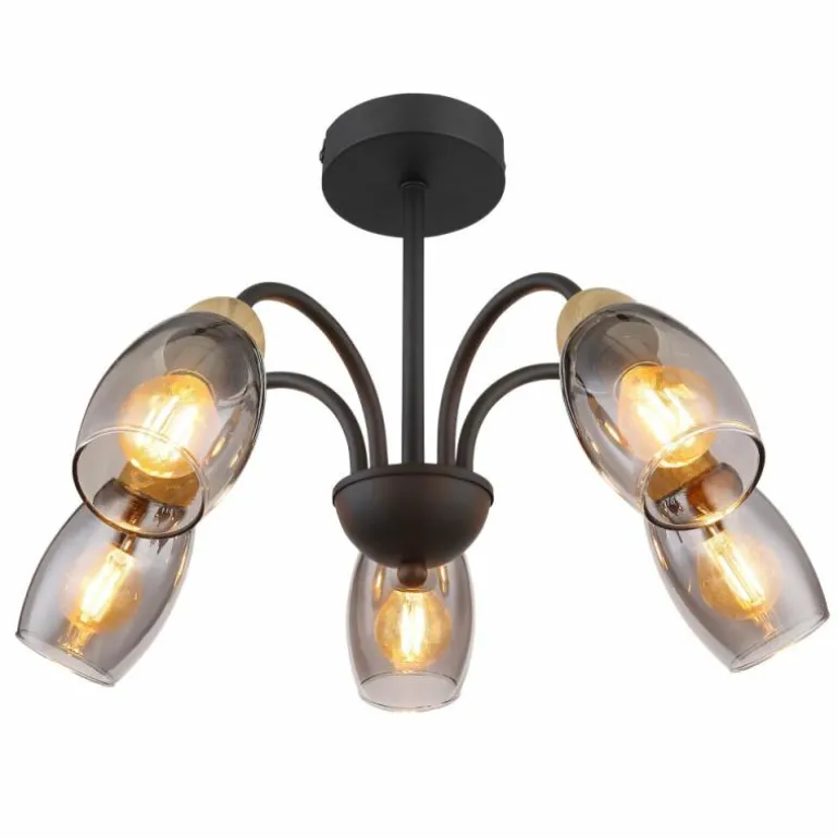 GERLY Plafonnier Luminaires Globo Lighting Noir, 5 lumières