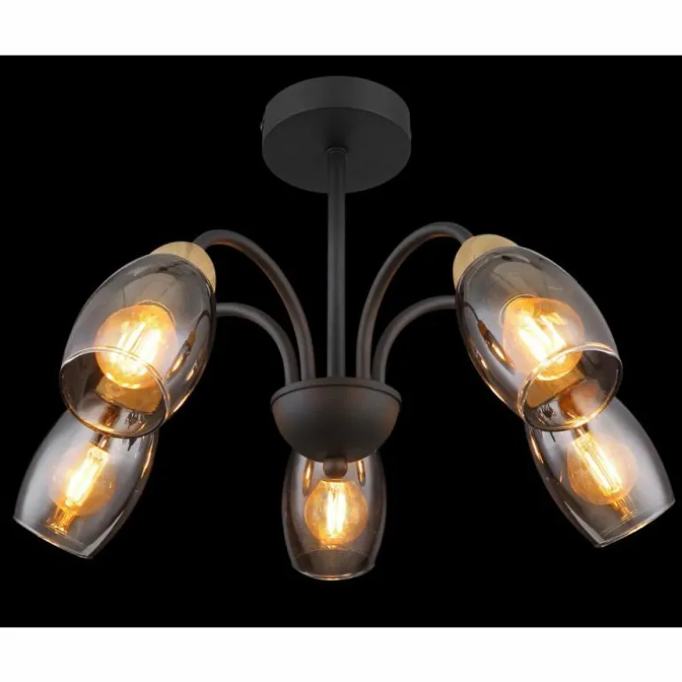 GERLY Plafonnier Luminaires Globo Lighting Noir, 5 lumières