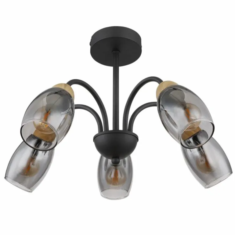 GERLY Plafonnier Luminaires Globo Lighting Noir, 5 lumières