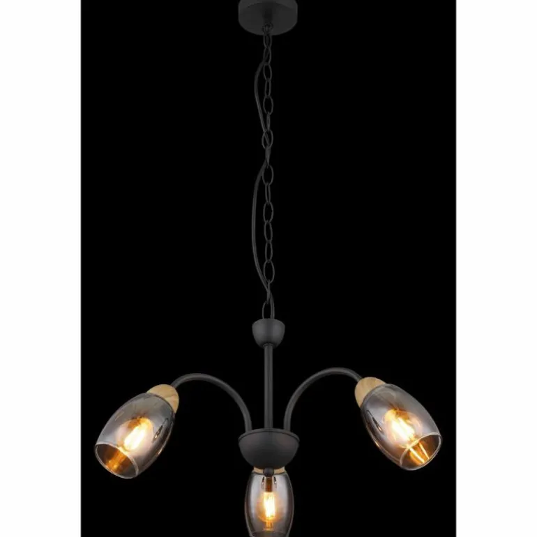 GERLY Suspension Luminaires Globo Lighting Noir, 3 lumières