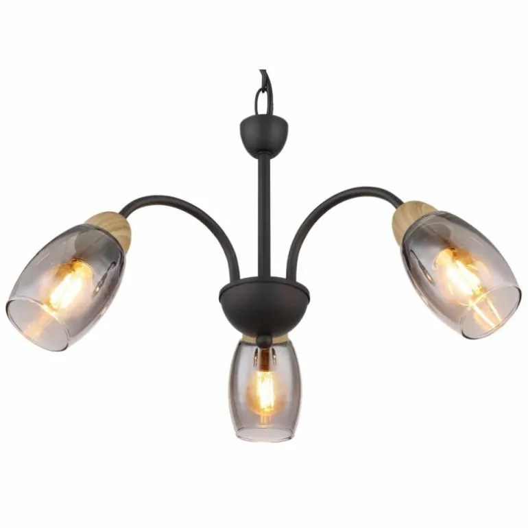 GERLY Suspension Luminaires Globo Lighting Noir, 3 lumières